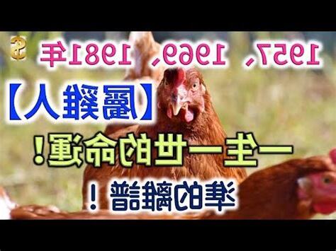屬雞 五行